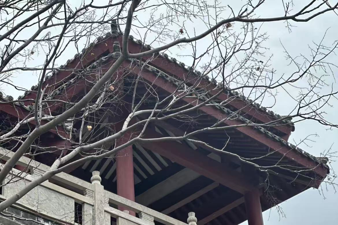 Dongzi Garden